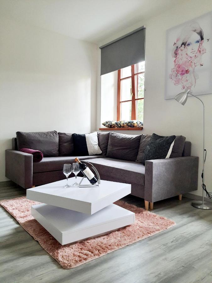 Apartman Spalovka Nový Bor Eksteriør bilde
