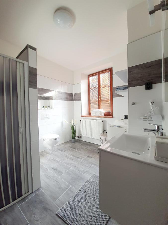 Apartman Spalovka Nový Bor Eksteriør bilde